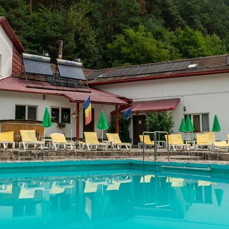 Pensiunea Alpin Păltiniş Buitenkant foto