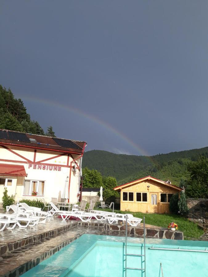 Pensiunea Alpin Păltiniş Buitenkant foto