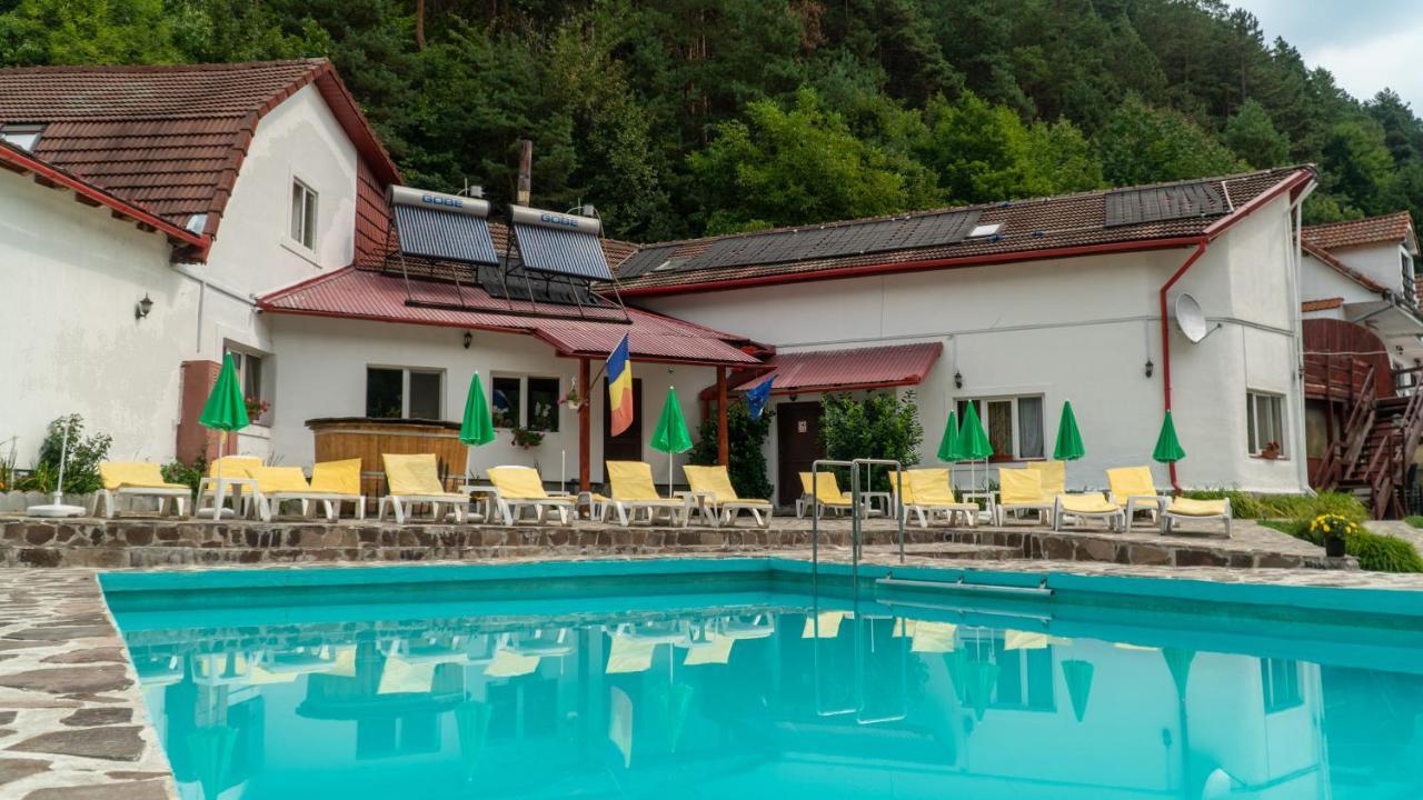 Pensiunea Alpin Păltiniş Buitenkant foto