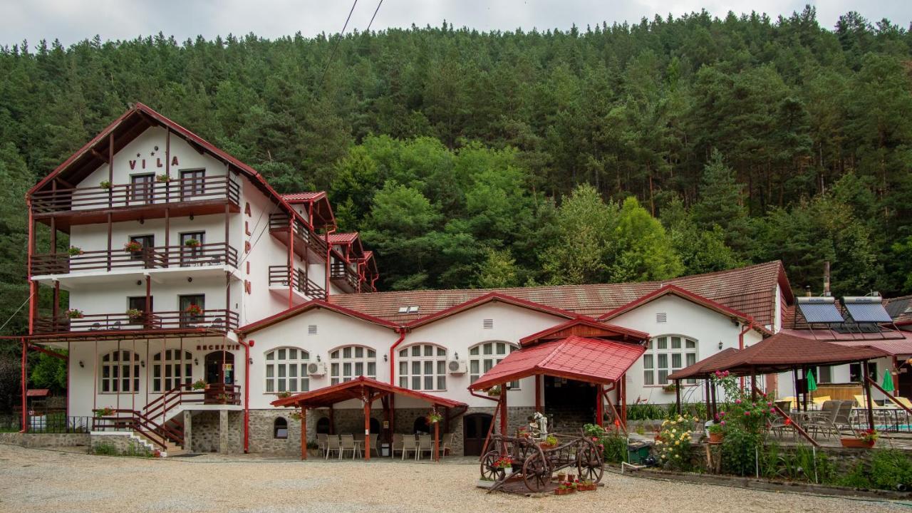 Pensiunea Alpin Păltiniş Buitenkant foto