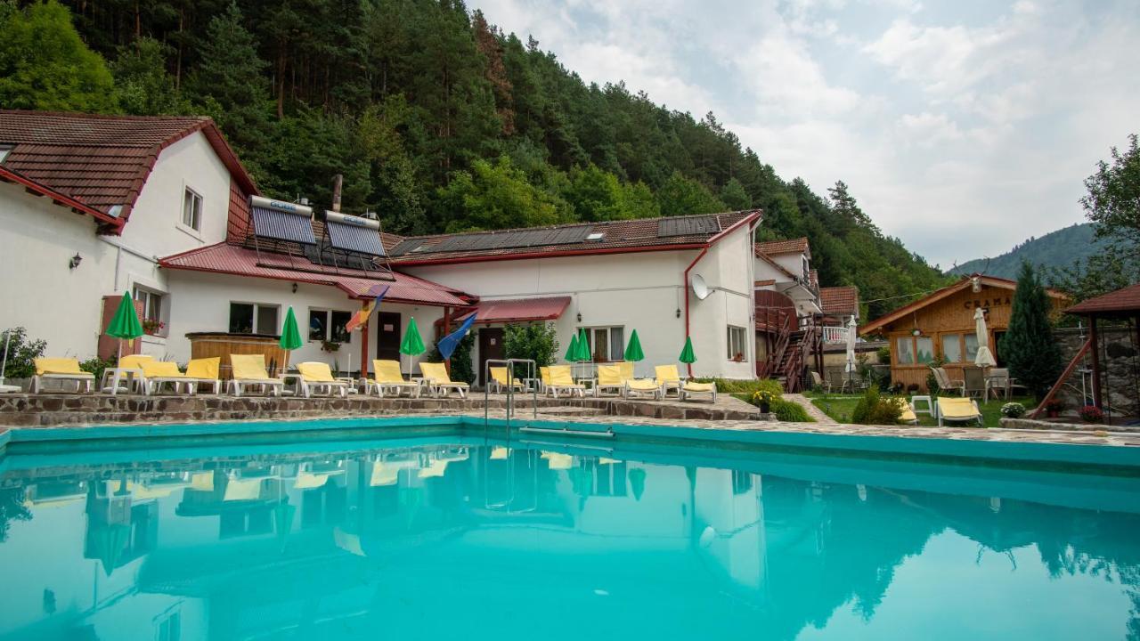 Pensiunea Alpin Păltiniş Buitenkant foto