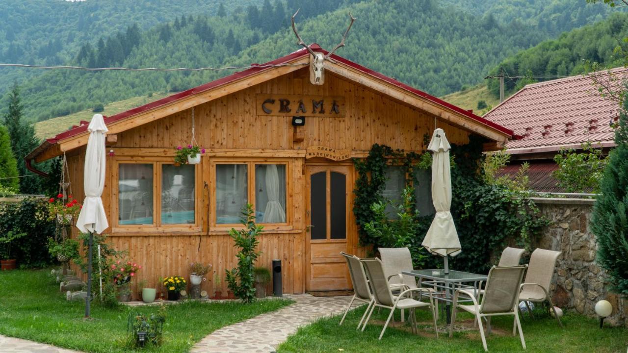 Pensiunea Alpin Păltiniş Buitenkant foto