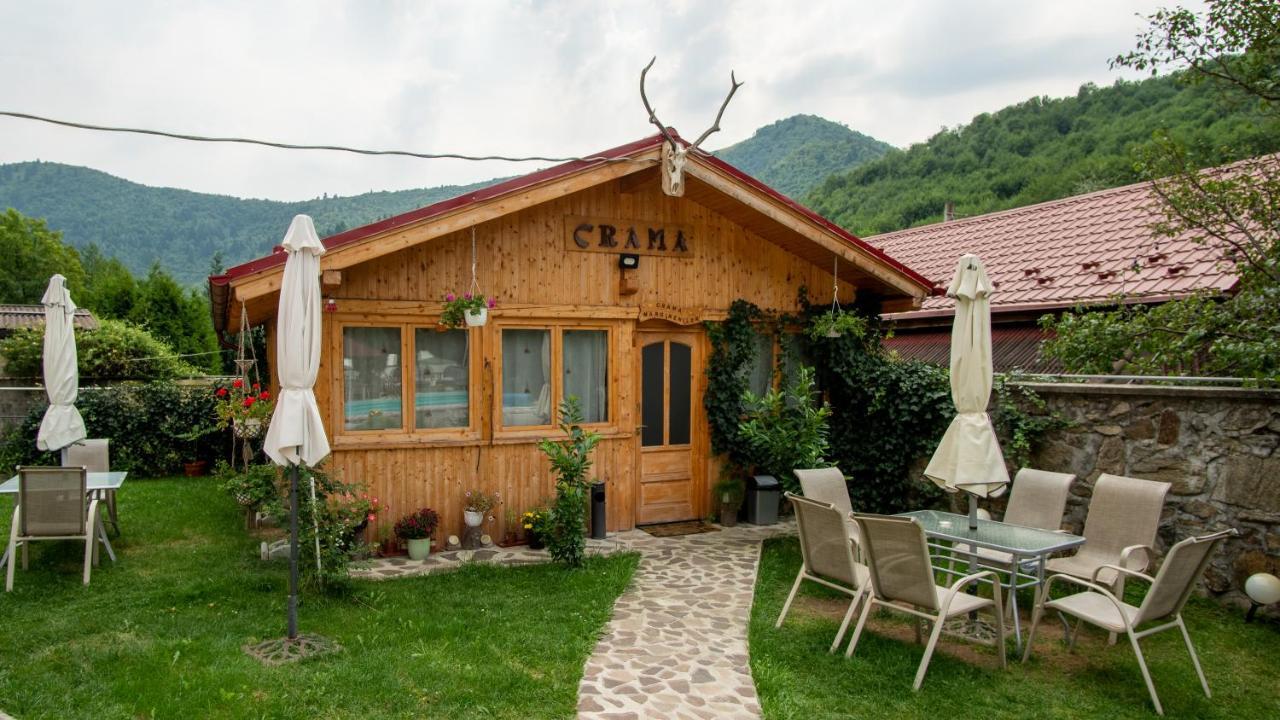 Pensiunea Alpin Păltiniş Buitenkant foto