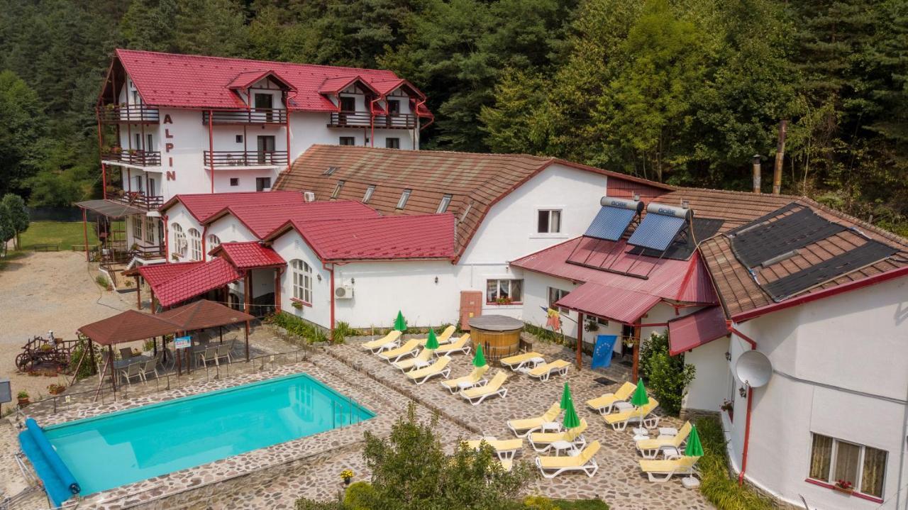 Pensiunea Alpin Păltiniş Buitenkant foto