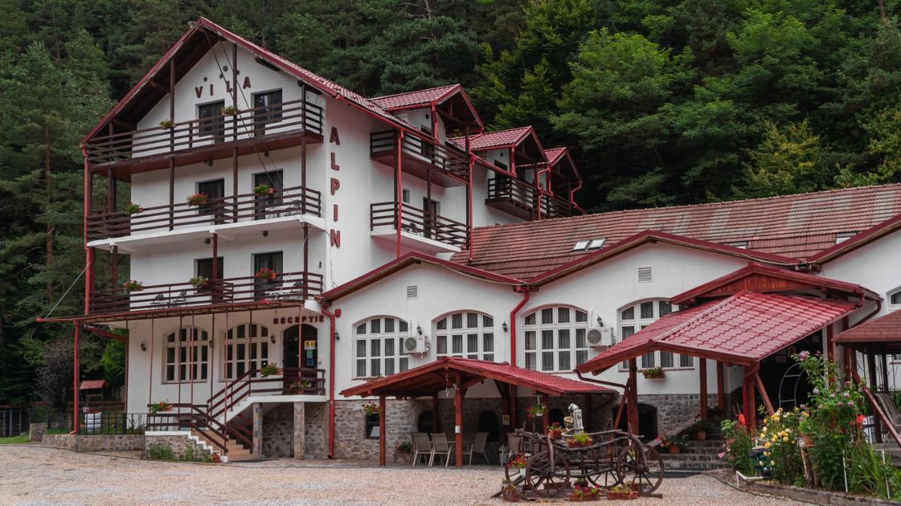 Pensiunea Alpin Păltiniş Buitenkant foto