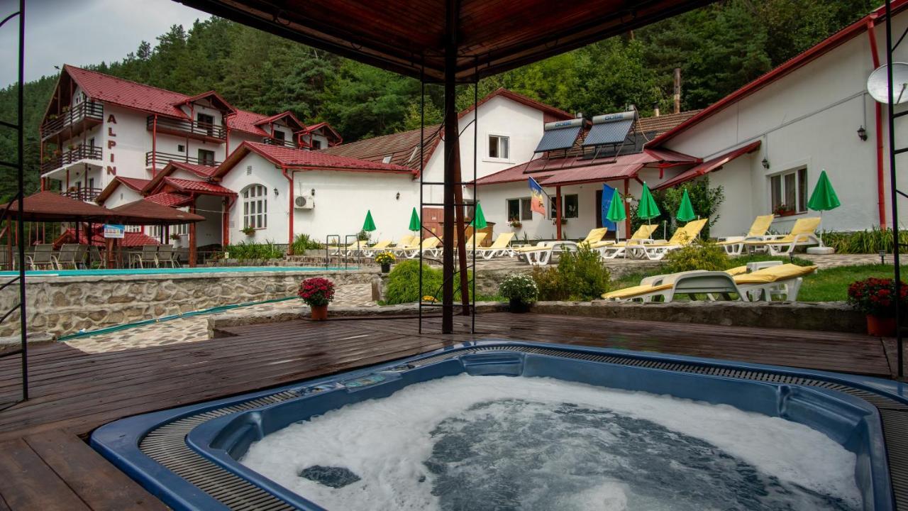 Pensiunea Alpin Păltiniş Buitenkant foto