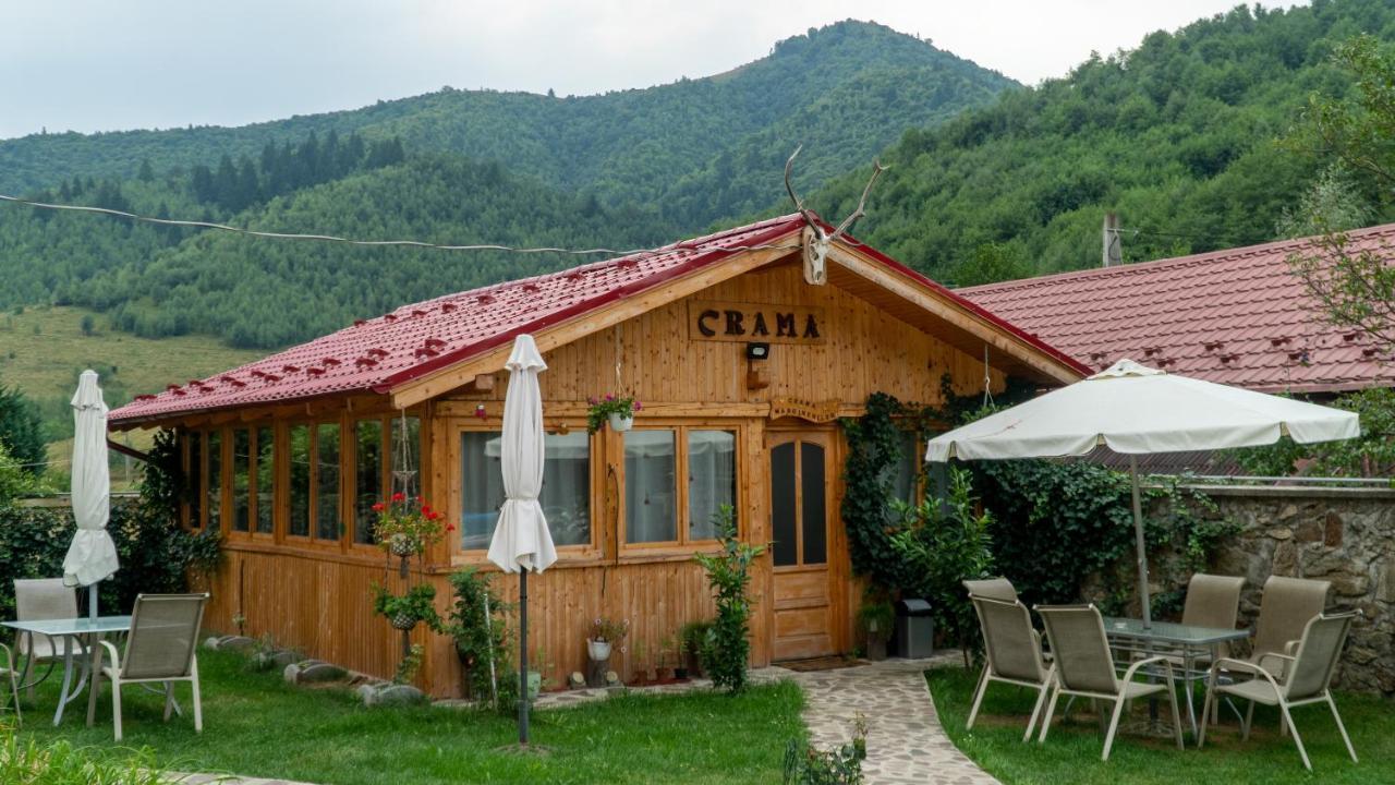 Pensiunea Alpin Păltiniş Buitenkant foto