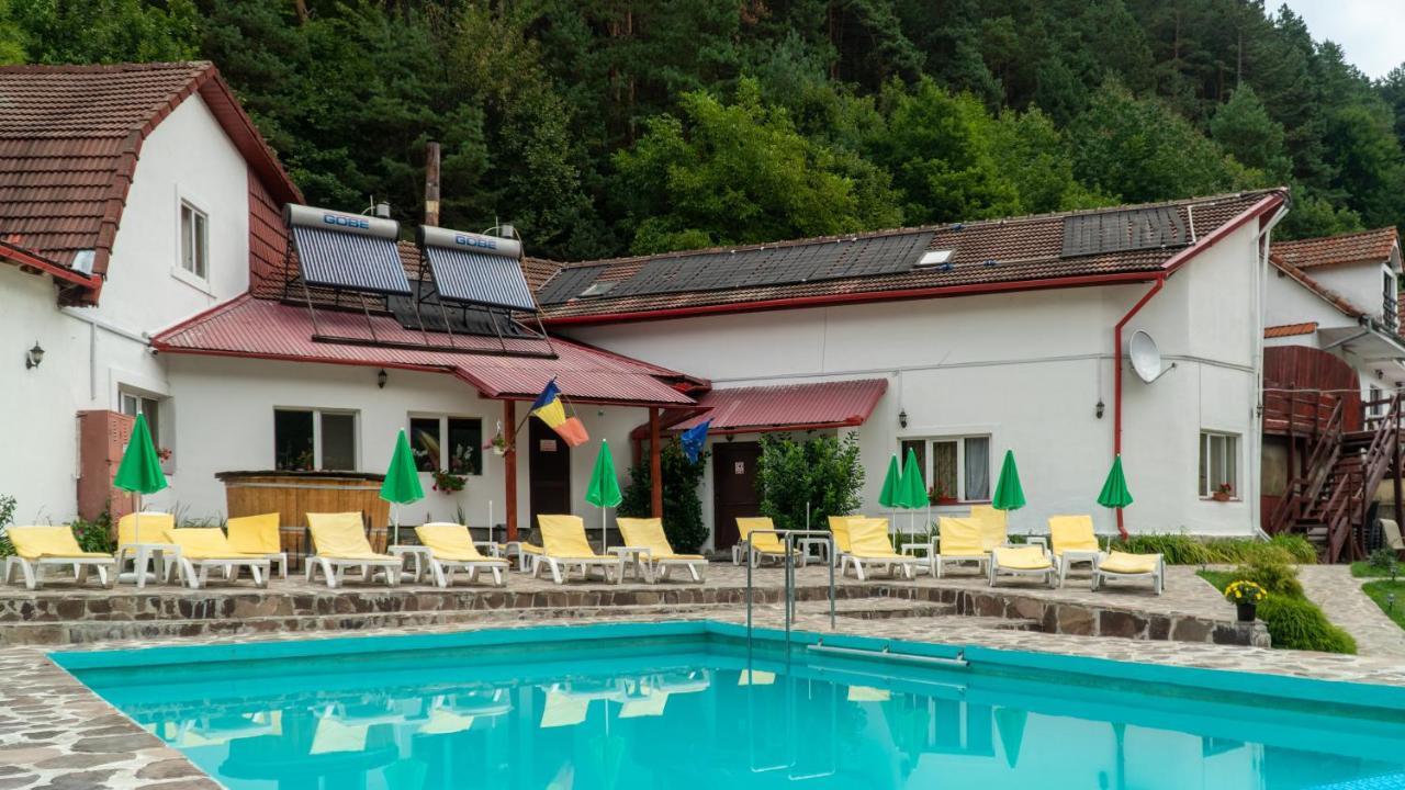 Pensiunea Alpin Păltiniş Buitenkant foto