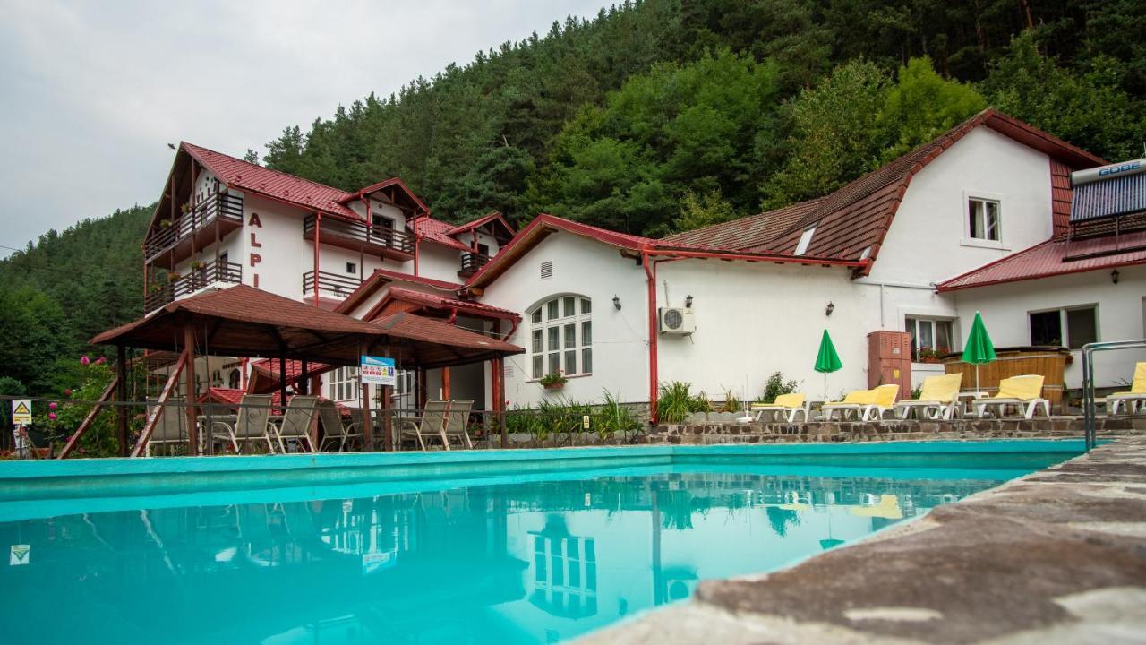 Pensiunea Alpin Păltiniş Buitenkant foto