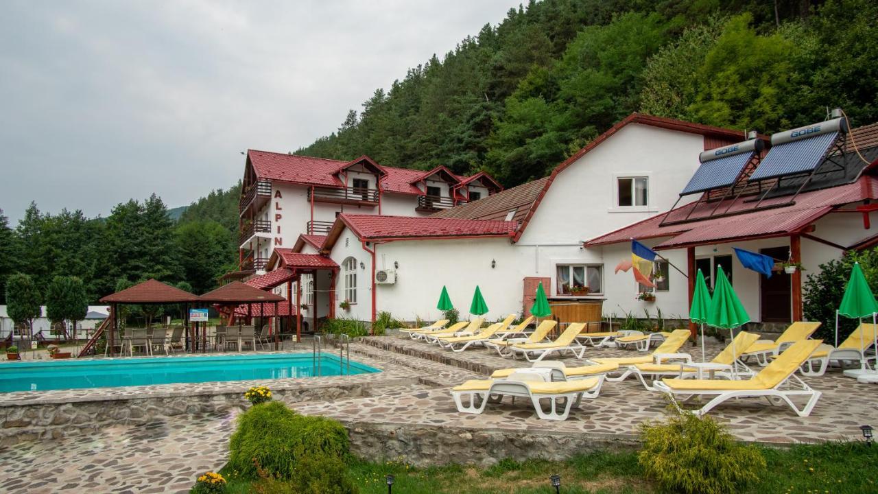 Pensiunea Alpin Păltiniş Buitenkant foto