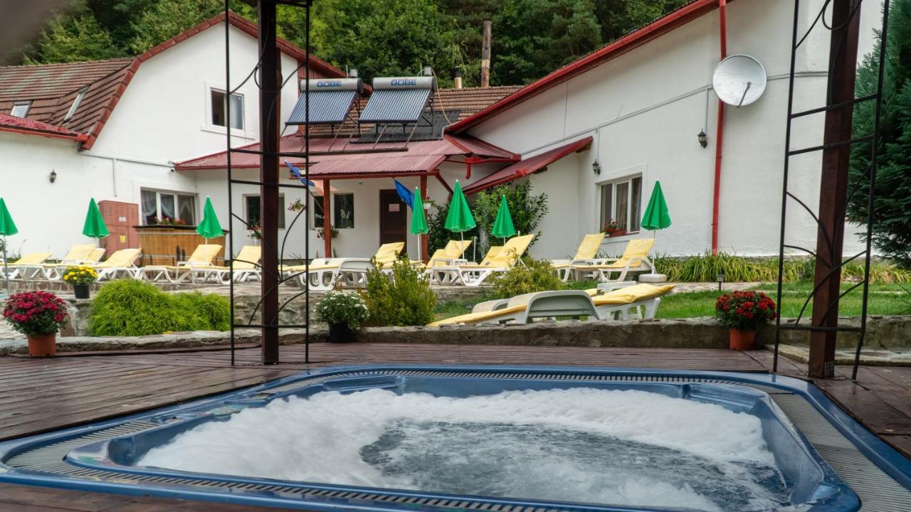 Pensiunea Alpin Păltiniş Buitenkant foto
