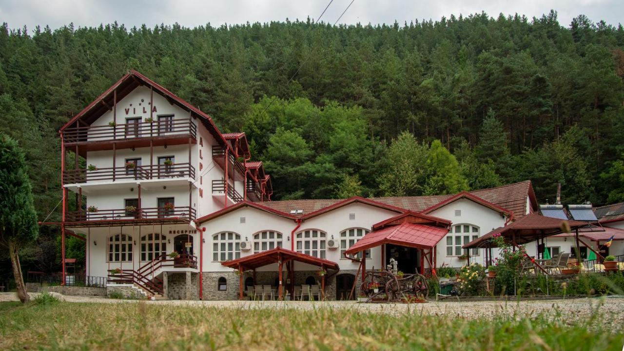 Pensiunea Alpin Păltiniş Buitenkant foto