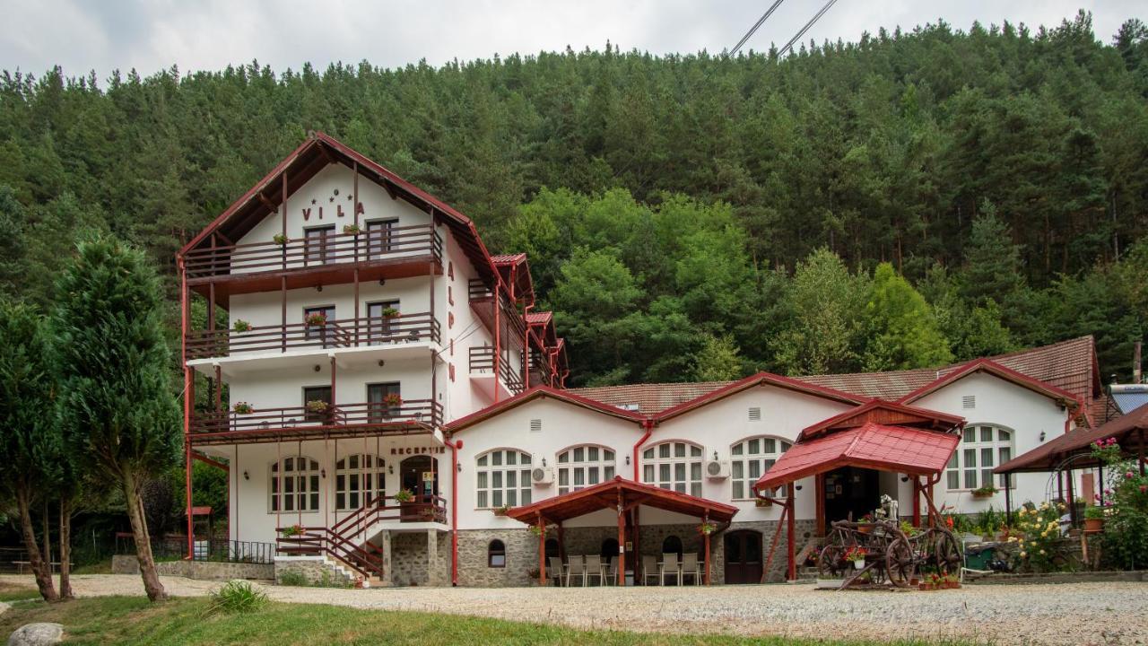 Pensiunea Alpin Păltiniş Buitenkant foto