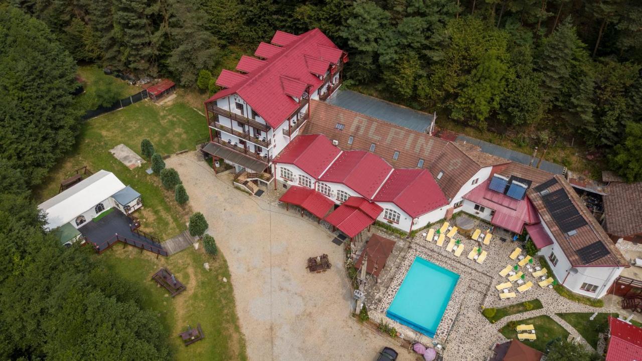 Pensiunea Alpin Păltiniş Buitenkant foto