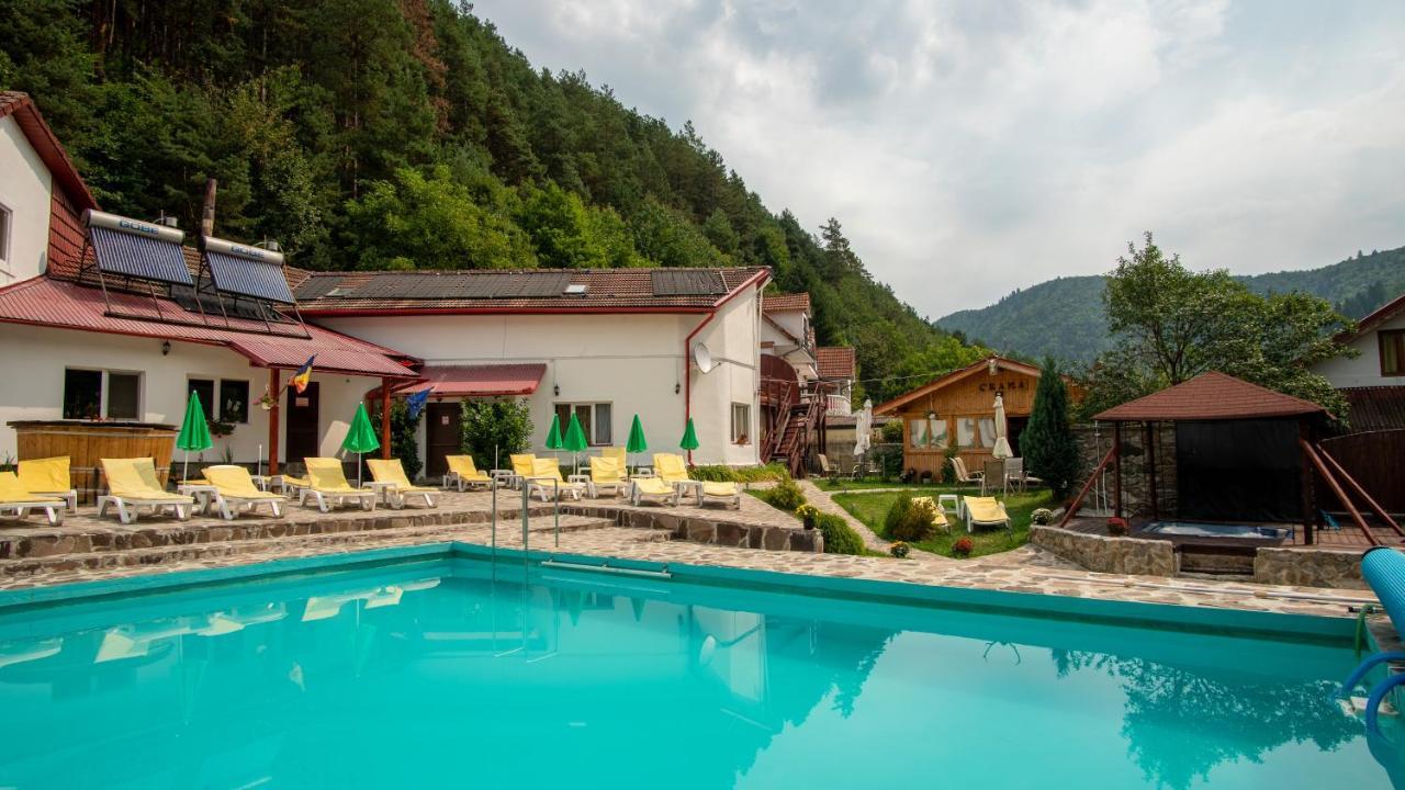Pensiunea Alpin Păltiniş Buitenkant foto