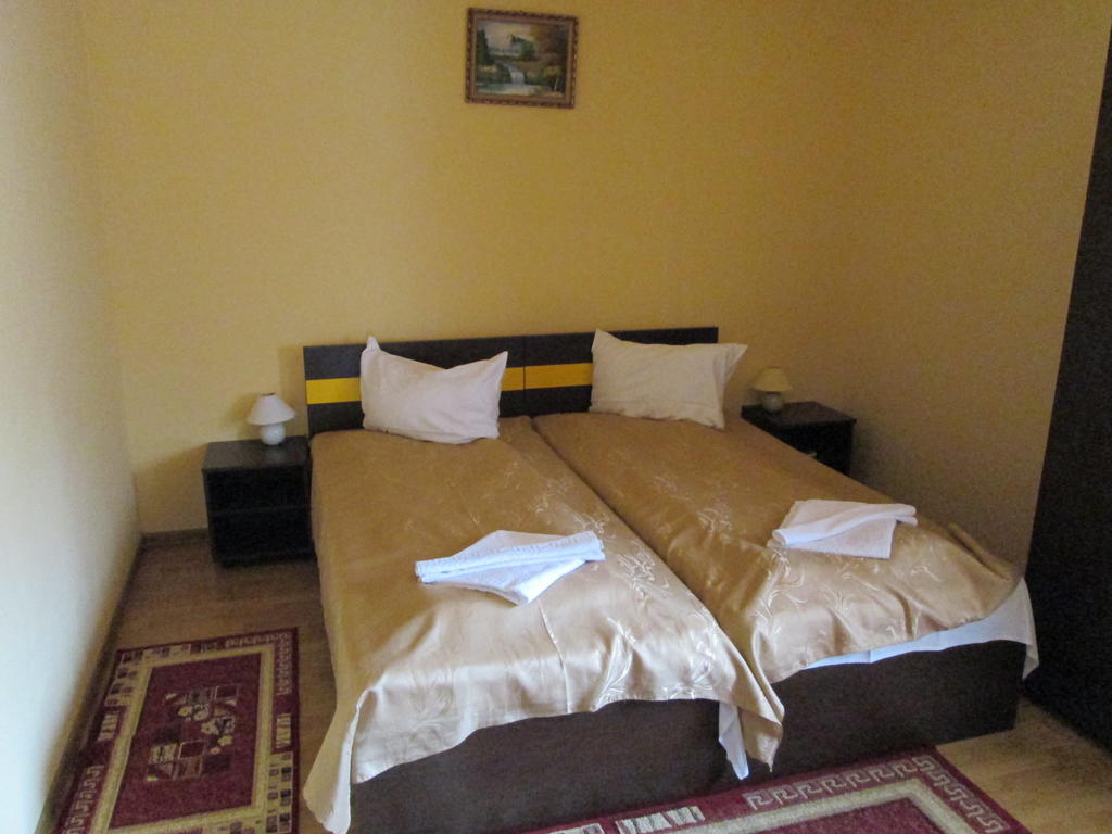 Pensiunea Alpin Păltiniş Kamer foto