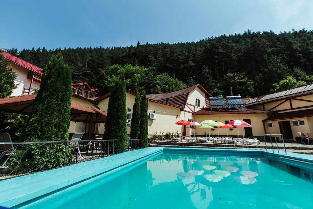 Pensiunea Alpin Păltiniş Buitenkant foto