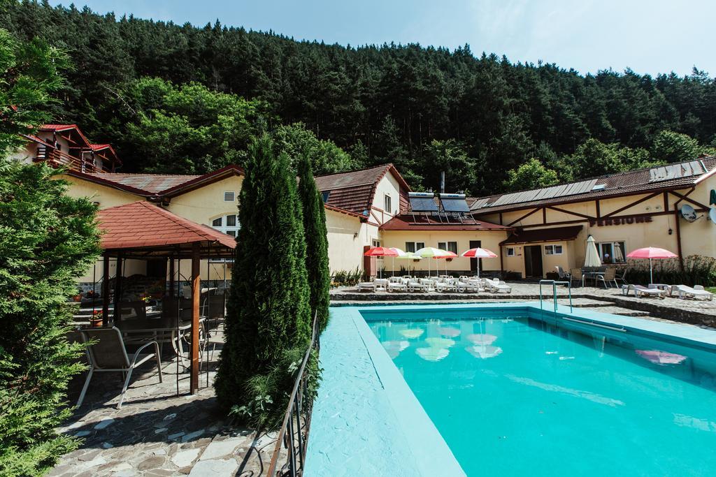 Pensiunea Alpin Păltiniş Buitenkant foto