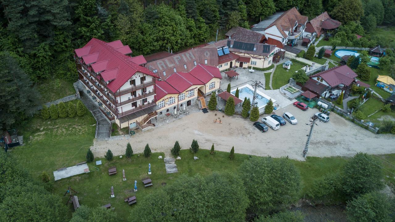 Pensiunea Alpin Păltiniş Buitenkant foto